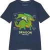 Life is Good Shirts & Tops Dragon Facts Crusher™ Tee (Toddler/Little Kids/Big Kids) -Life is Good Sales Store 71B6XARxROL. AC SR736920